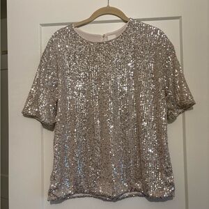H&M Champagne Sequin Short Sleeve Top